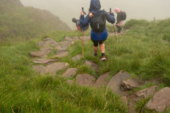 Red_Screes-228
