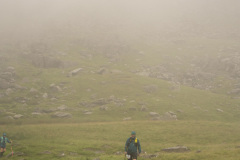 Red_Screes-486