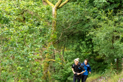 Ullswater_AM-211