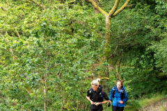 Ullswater_AM-212